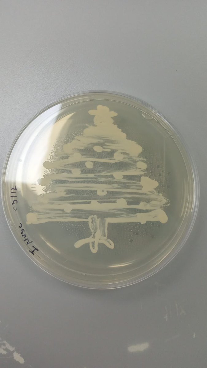 UlsTeb's tweet photo. From TEB, we wish everybody a merry Christmas and a happy new year. Have wonderful holidays as well as a healthy, successful, and biocatalysis-filled 2022! @Claudia_Berna @Ronny_Martinez @userena @VipulsOficial https://t.co/05MyvETQzw