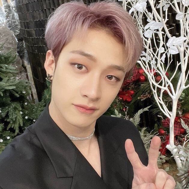 LEADERARCHIVES's tweet image. [ #하슬 #방찬 ]

— christmas time