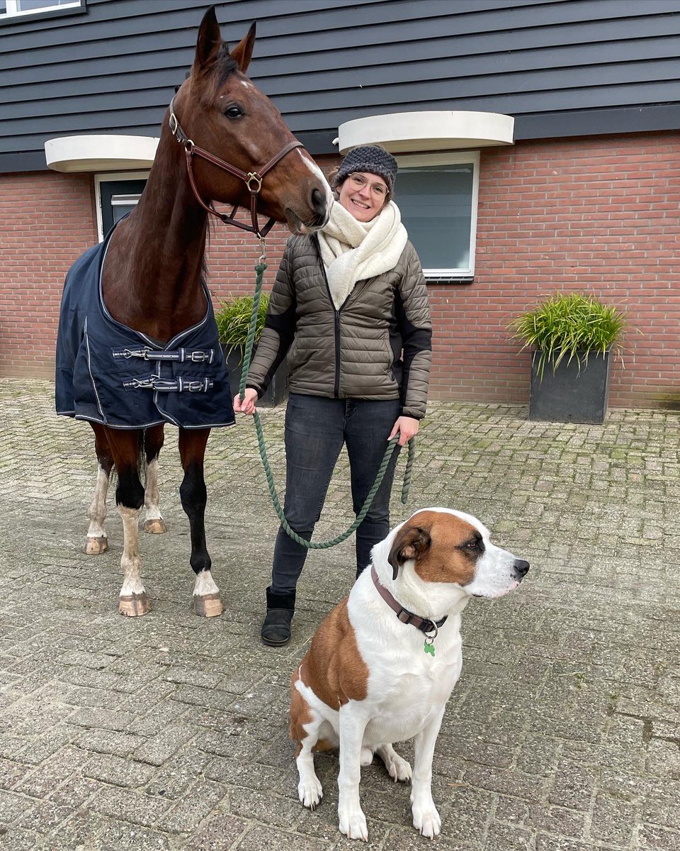 JooyceLD's tweet photo. For sure the best Christmas present ever! 🎄🎁 Rajesh aka the king has arrived!😭♥️😍 thanks again @stallkolgjini and all the others involved! 🙌🏼🙏🏼 #cloud7 #RajeshFace #bffl https://t.co/Nhuse1Ptvm