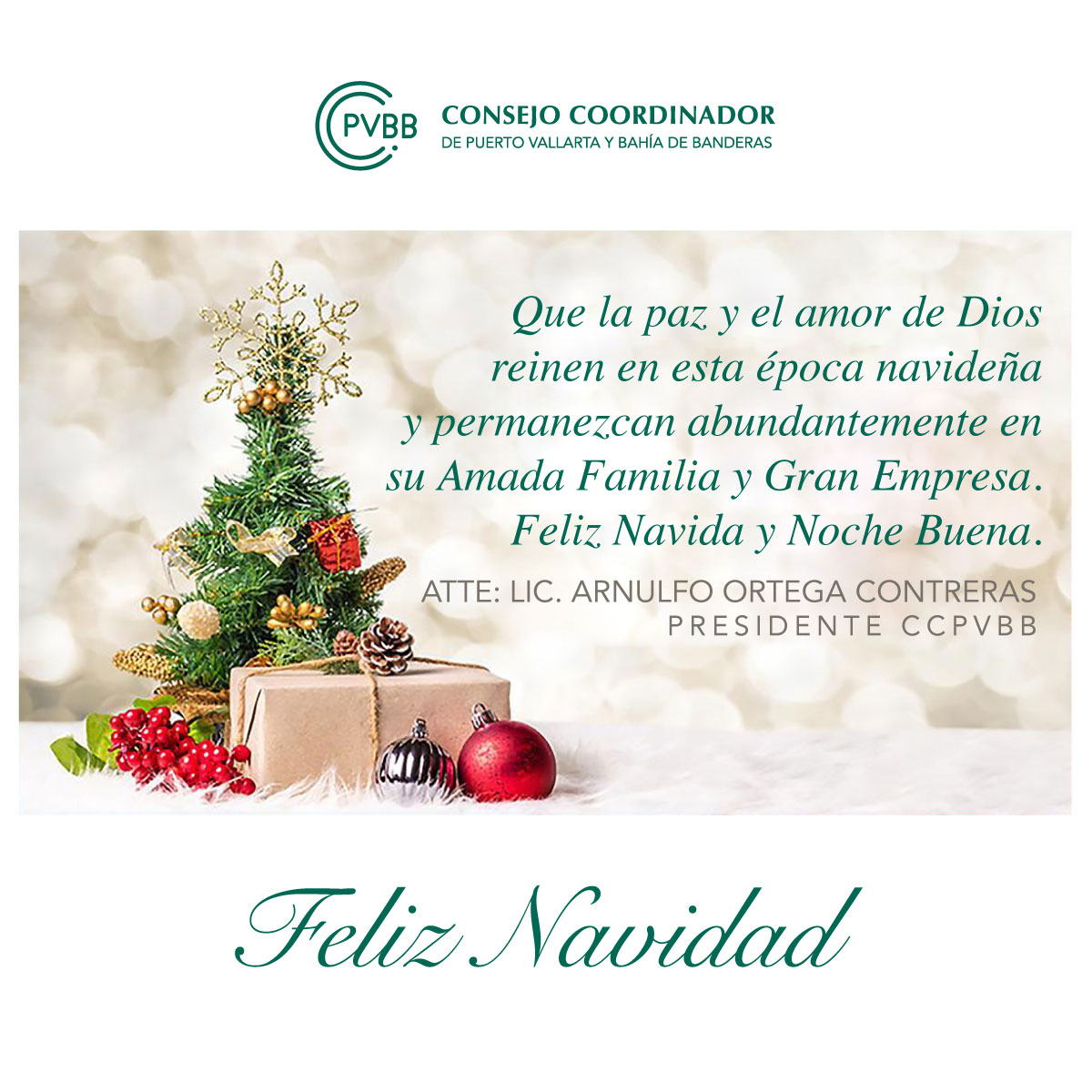 ConsejoPvbb's tweet photo. ¡FELIZ NAVIDAD! https://t.co/H1I9H6txD5