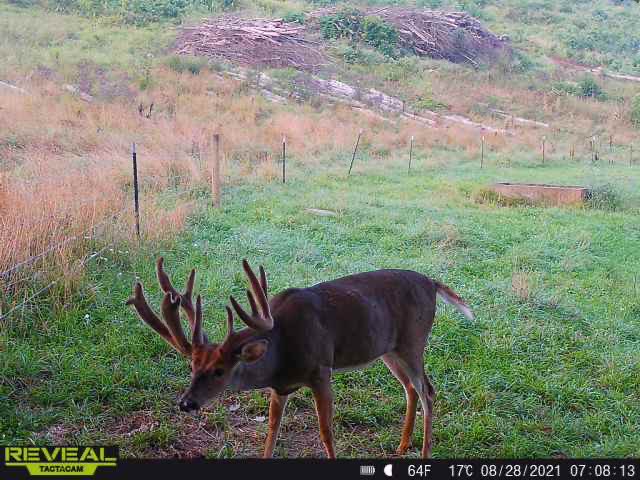 jfrank1's tweet photo. Definitely a season I’ll never forget! #OhioBigBuck #Nontypical https://t.co/futaQKtk6b
