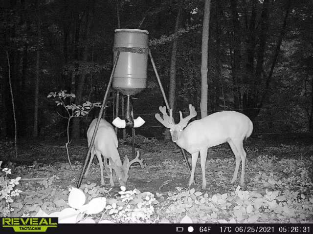 jfrank1's tweet photo. Definitely a season I’ll never forget! #OhioBigBuck #Nontypical https://t.co/futaQKtk6b