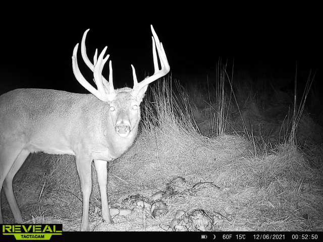 jfrank1's tweet photo. Definitely a season I’ll never forget! #OhioBigBuck #Nontypical https://t.co/futaQKtk6b
