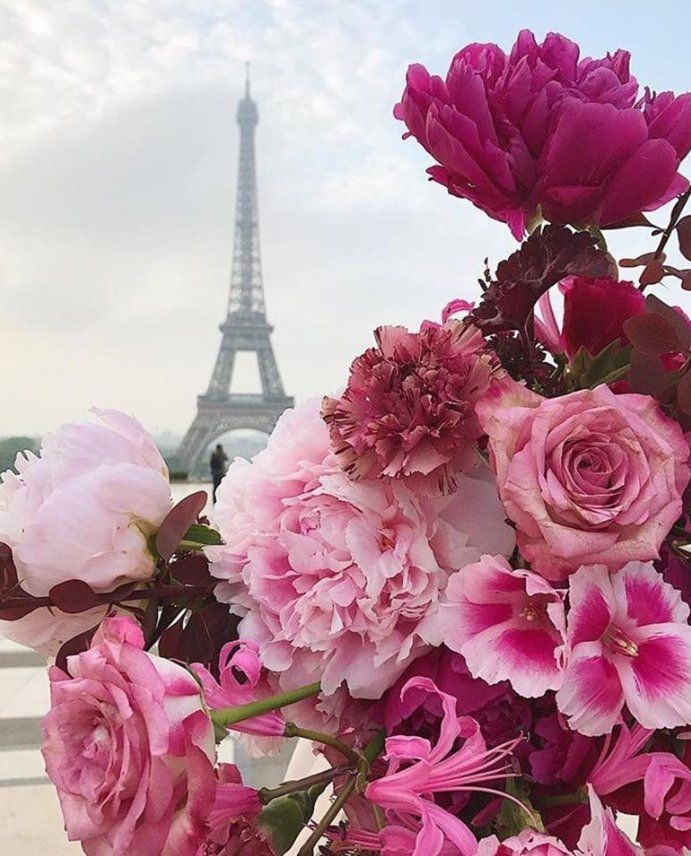 Beautiful Photography.. Amazing Paris #flowers #paris #EiffelTower #beautifulphotography 🌹