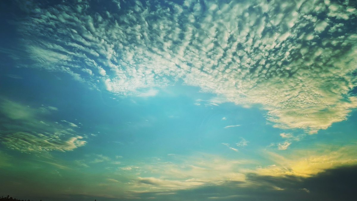 acubi_artpic's tweet photo. 整ってきた。
身体と心が。
僅かだけれど、確実に。
ようやく、今度こそ。
楽しくなってきた。
はじまり、はじまり。
#amready #soexicted #juststarted #artartart #oritahiti #japanwoman https://t.co/ckAYUDeLEt
