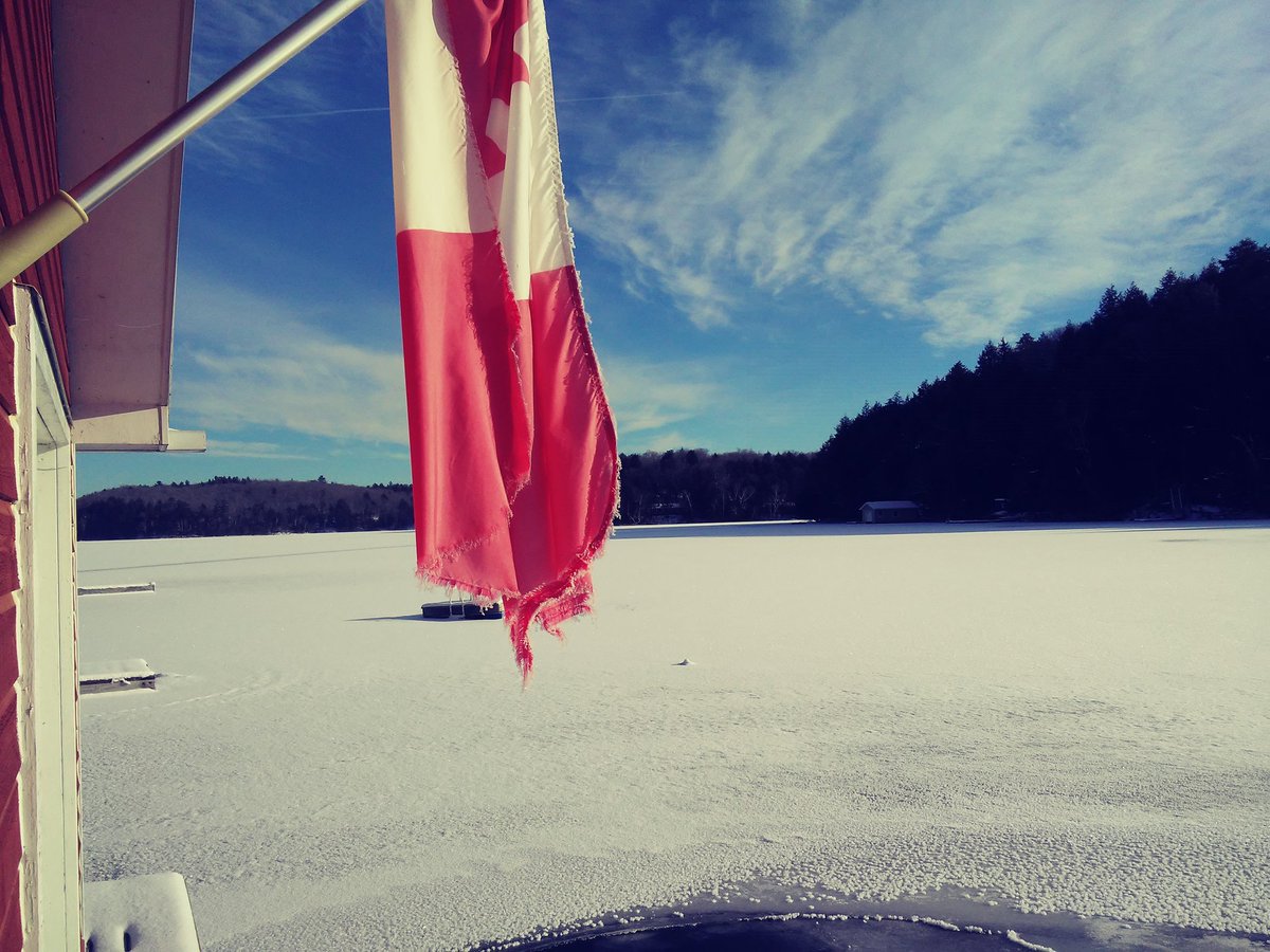 Arthur_Sea_A's tweet image. a #tied up &amp;amp; #drooping #Canada #muskoka #2021 #2022