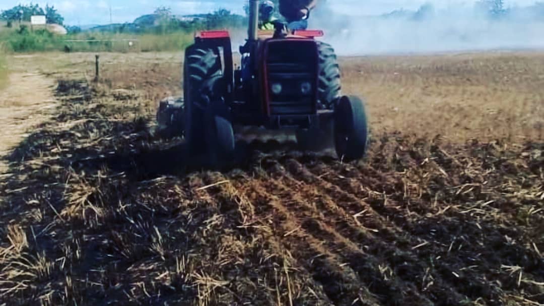 53Brinfs's tweet photo. 📣 #Enterate •|| Cumpliendo con la Guia de Planeamiento del MG @felixosoriog en las instalaciones del @531_BIS se esta llevando acabo la preparación de las tierras con la finalidad de realizar la siembra y asi fortalecer la producción agrícola y pecuaria de esta unidad. ||• https://t.co/5ZF6YB0Jtw