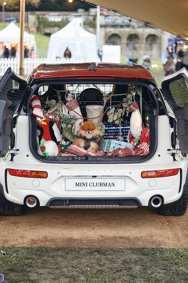 MINIUK's tweet photo. Happy Paw-lidays from the boot of News UK's Dog Friendly Car of the Year 🐶
#MINIChristmas #MINI #MINIxDogs https://t.co/ueoAymAX2F