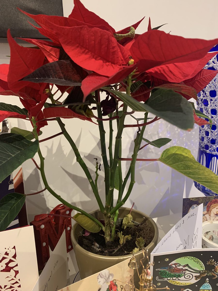 Sara Marshall tweet media