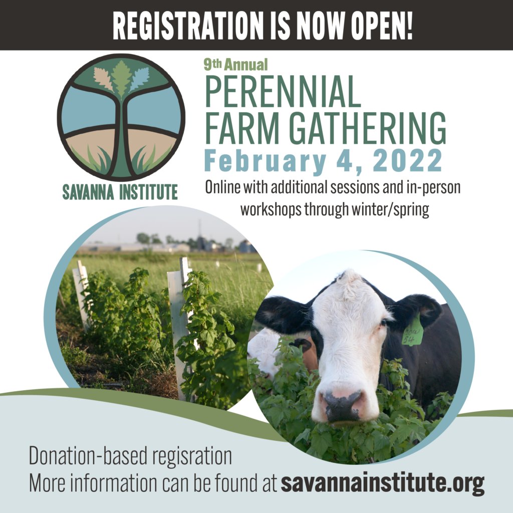 Register today for this year's FREE, ONLINE Perennial Farm Gathering, to be held February 4th, 2021!
savannainstitute.org/perennial-farm…