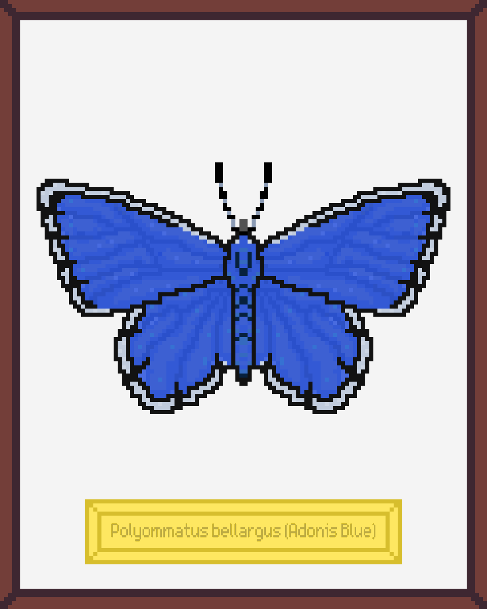 ButterfliesNFTs's tweet photo. 📢Today's Butterflies Museum #NFT  NEW drop at 7:00 PM (UTC) on @opensea. The prices will be 0.04 ETH for the ordinary brown frame, 0.06 ETH for a dark red frame.🦋🦋🦋

https://t.co/NhtOihWmar

#NFTs #NFTCommunity #nftcollector #NFTdrops https://t.co/AFF1tTQUdH