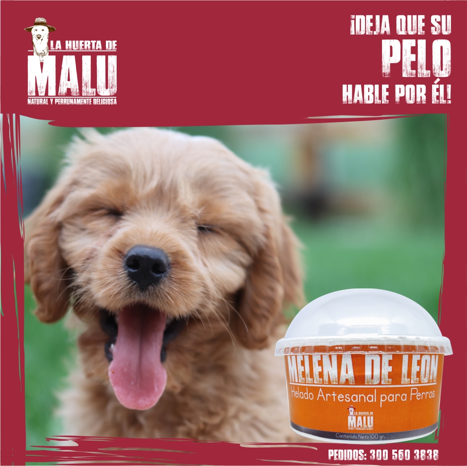LahuertadeM's tweet photo. ¡Consiéntelo mientras cuidas su pelito! 💙💜

Píde tus helados y galletas por DM o al 3005603838

¡Apoya emprendimientos locales! 🤗🐩🐕

#heladosparaperros #galletasparaperro #perros #snacks #galletas #helados #kit #Bogota #jueves #navidad #kitnavideño #cuidadodelpelo https://t.co/nwp8kY5yA9