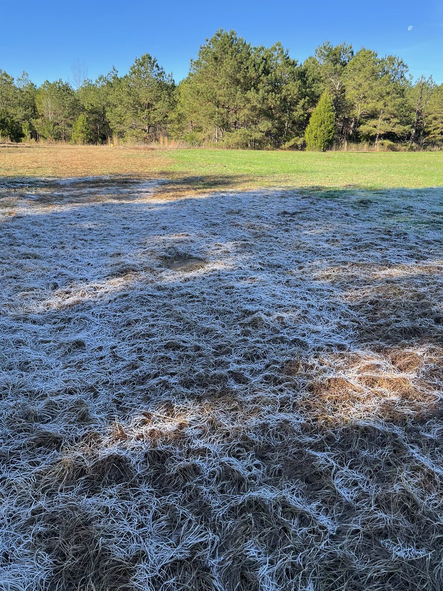 gr1ffw's tweet photo. Cold morning in Bama! https://t.co/xlKsTasOfe