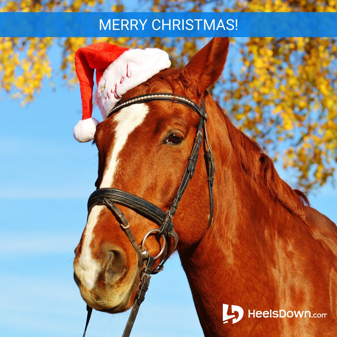 HeelsDownApp's tweet photo. Heading into the holiday weekend! Merry Christmas and Happy Holidays! 🎄🎁 🐴😃

#heelsdownapp #heelsdown #horsebackriding #ridinglessons #dressage #hunter #jumper #showjumping
#barrelracing #polo #reining #WellingtonFL #PalmBeach #horsesofinstagram #MerryChristmas https://t.co/ijko5Blh07