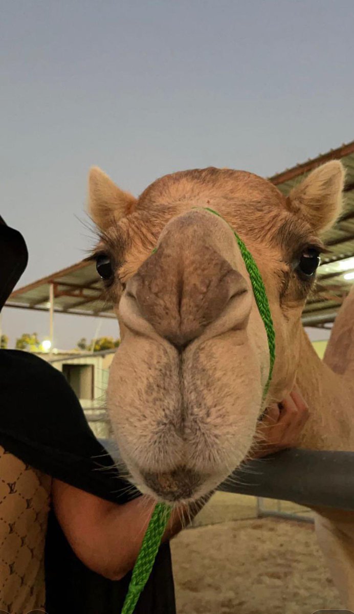 مساءكم هذا الوجة الجميل ❤️