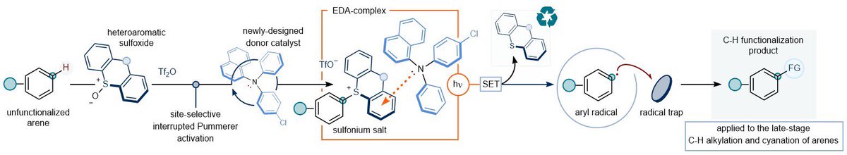 Check out on <a href="/ChemRxiv/">ChemRxiv</a> how we exploit triarylsulfonium salts as e-acceptors in 💡active EDA-complexes, with a newly-designed amine donor catalyst, to streamline metal-free C–H functionalizations of native arenes, and complex 💊s. Great effort from Len, Abhi, James and Eloise!🔗👇
