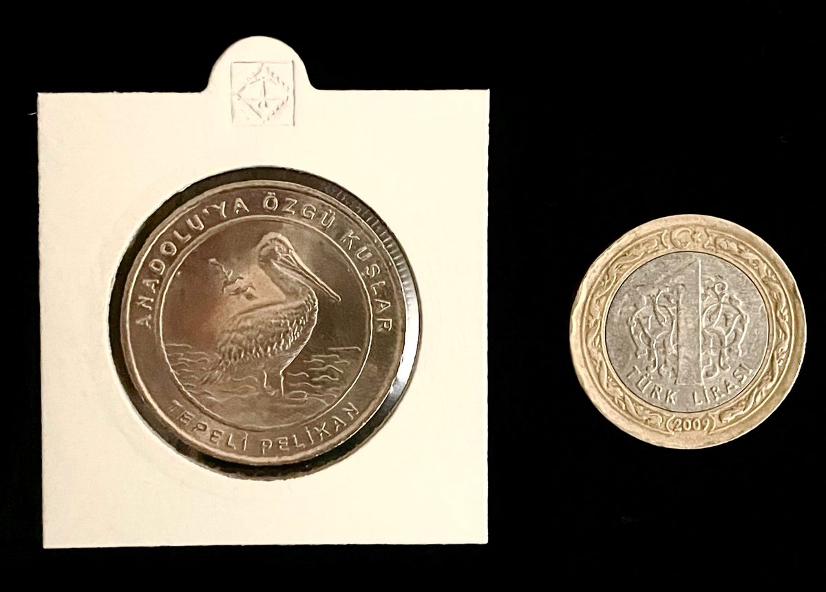 2021 biterken size küçük bir hediye. Beni takip edenler arasından bu tweet'i beğenip retweet eden iki kişiye Anadolu'ya Özgü Kuşlar serisinin birer hatıra parasını göndereceğim. 26 Aralık saat 8'e kadar katılabilirsiniz. Katılmak için takip edin, beğenin ve retweet edin.