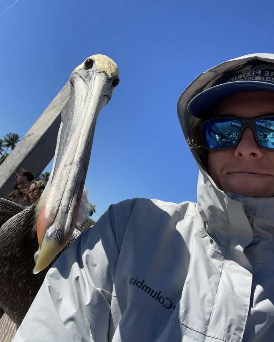 Everyone on the docks is always interested in what our fishing guys bring back, but someone get a little closer than others when we are filleting.... #GoPureFL #LoveFL #ParadiseCoast