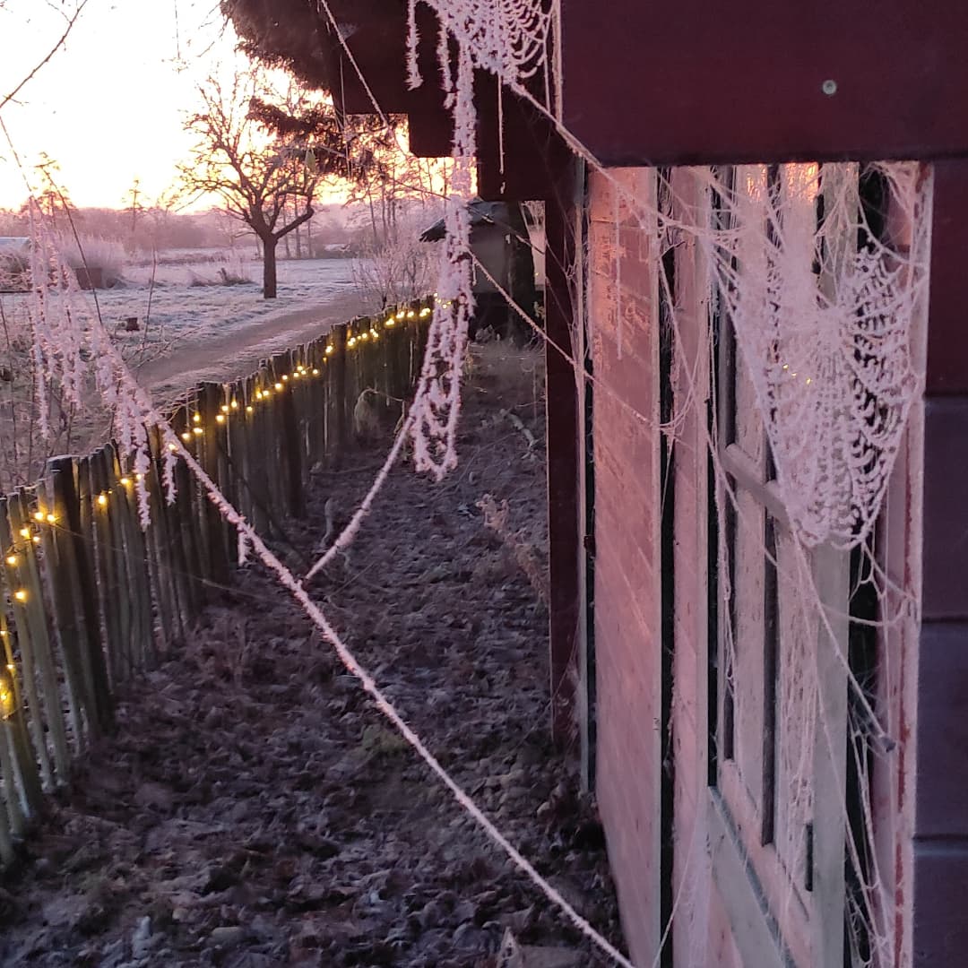 Frozen Busshelter @ the Niederrhein.