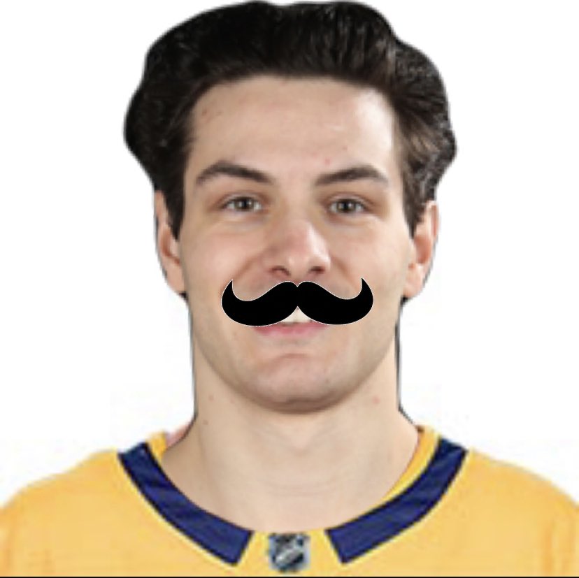 goalietaps's tweet photo. the preds are gonna announce a new forward called nat darzal any minute now https://t.co/1WQ8BowhUU