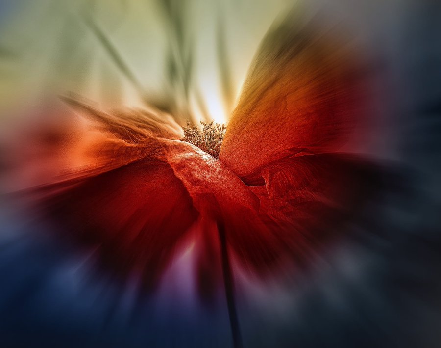 Fulfilment is wordless ~
the silence when skin takes over  ~
Anne Michaels

Foto: Silena Lambertini