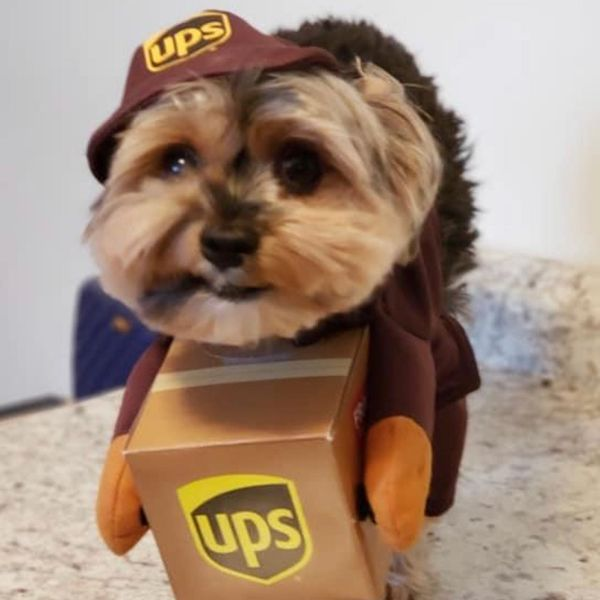 mfleming12586's tweet photo. I had to put my dog to work to make back some of the money I lost on $brds https://t.co/UO2AfyD54t