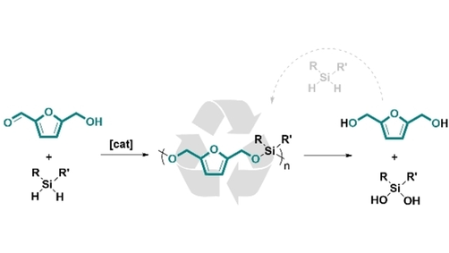 angew_chem's tweet photo. Highly Efficient Synthesis of Poly(silylether)s: Access to Degradable Polymers from Renewable Resources by @ThomasPolymer @dogma_group @IRCP_Polymer @FouillouxHugo https://t.co/3lcusNp5D0 https://t.co/Er9MGEJiKD