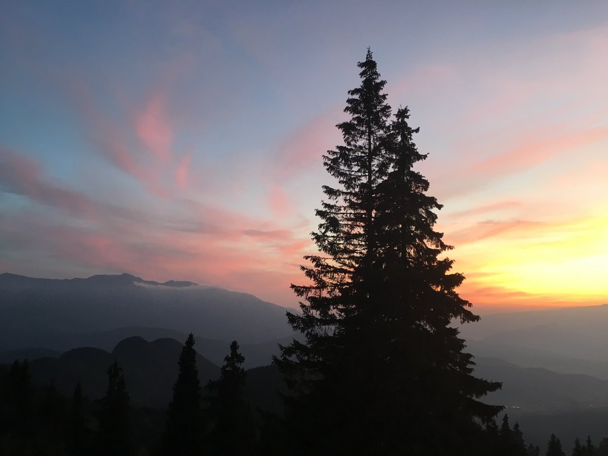 Vanessa Griffiths tweet media