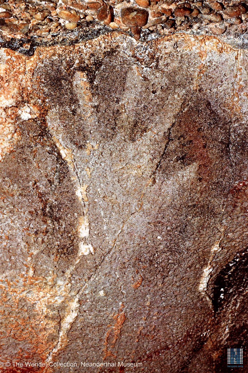 Jamie_Woodward_'s tweet photo. Ice age hands from the Last Glacial Maximum: 25,000 years ago in Pech Merle cave. Photos by Heinrich Wendel #IceAgeHumans 🖐🏽🖐🏻🖐🏾 https://t.co/8aZLz2SbyL