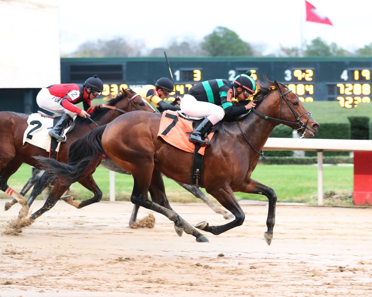 Ortiz Loaded with Good Sprinters Trainer John Ortiz said record-setting Hollis and Grade 1-placed Mucho are under consideration for the $150,000 King Cotton Stakes Jan. 29, Oaklawn’s first of three of major sprint races for older horses. #Oaklawn #RoomForMore #OaklawnRacing