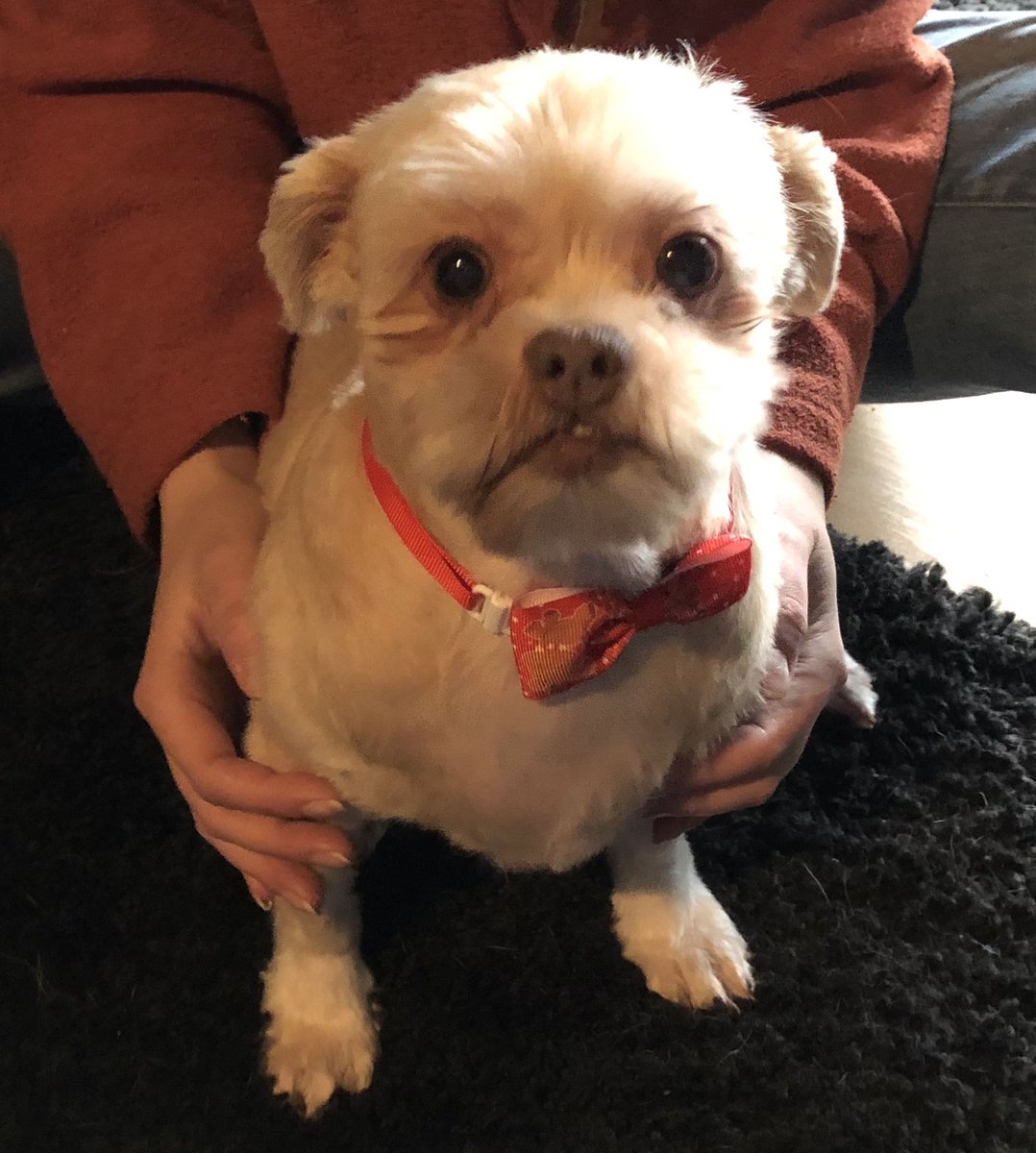 Bronja Hoffschlag 🐭 tweet media