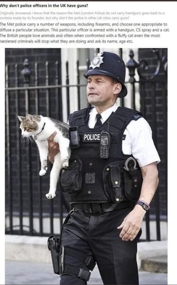 THRson's tweet image. This.