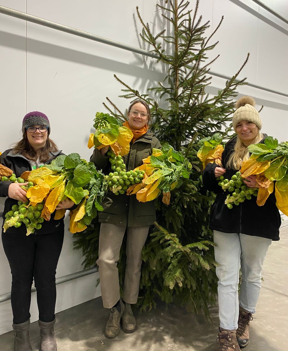 And just like that, it's Christmas orders time... It's been a busy morning here at Bowhouse packing you the Link orders that are soon to be delivered to our supportive Bowhouse Link customers.