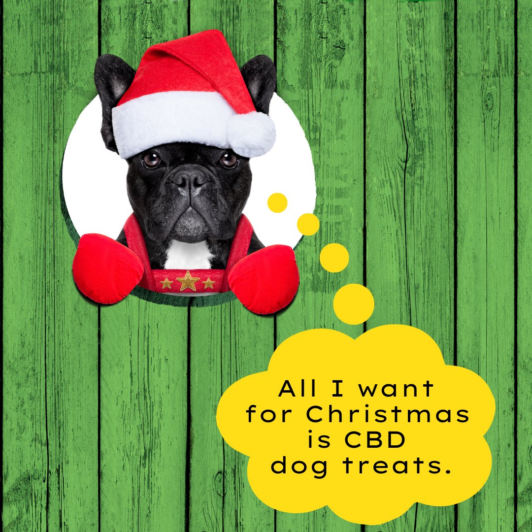 HighPurityNP's tweet image. Give your customers what they want for Christmas!
.
.
.
#cbdpet #cbd #cbdoil #cbdhealth #cbdlife #cbdbenefits #cbdproducts #cbdpets #hemp #cbdwellness #cbdhelps #cbdshop #cbdpetproducts #cbdheals #petcbd #cannabidiol #cbdcommunity #cbdtreats #cbddog  #bhfyp
