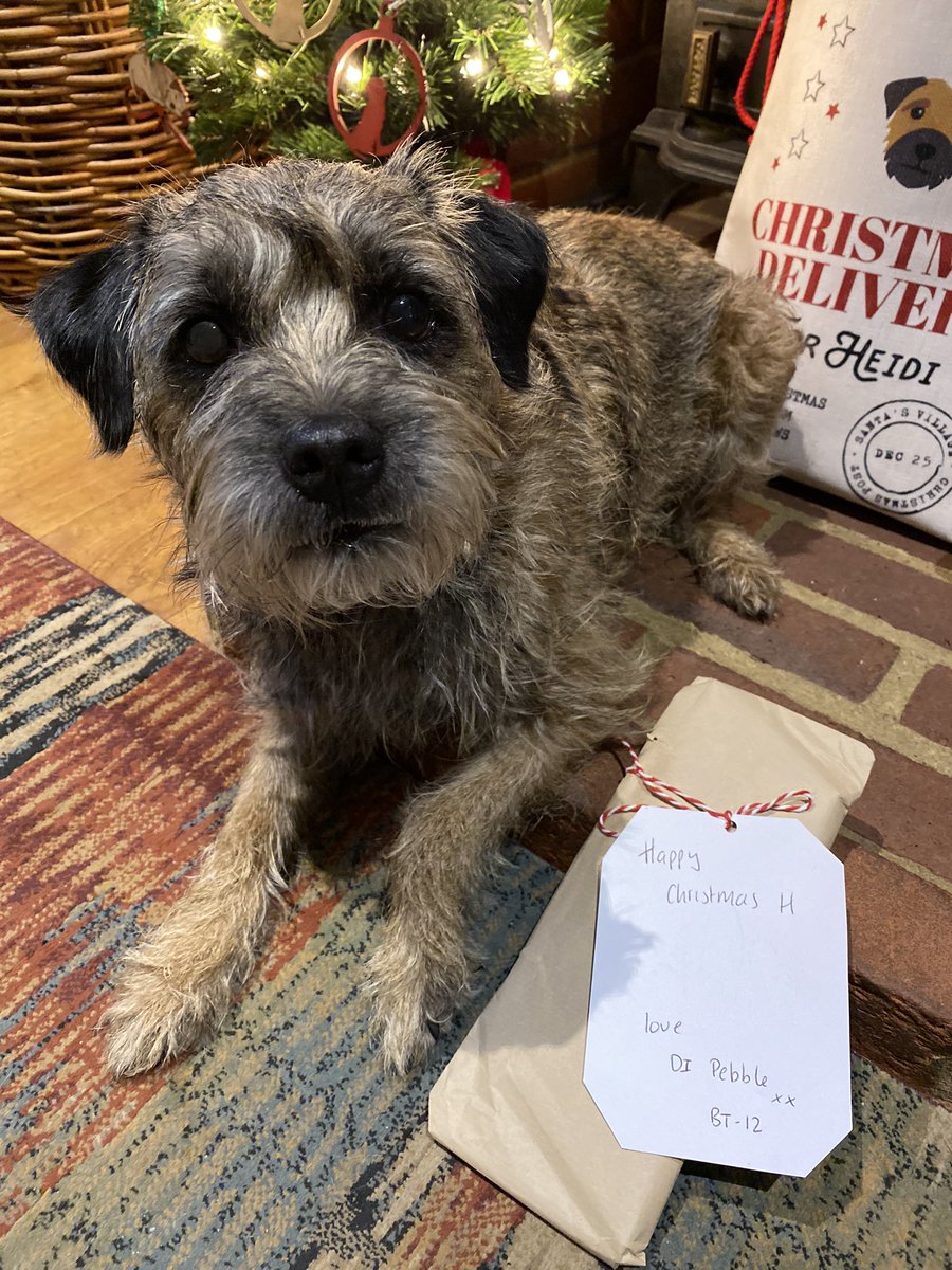 Heidi_BTerrier's tweet photo. I got #PebblePost 😃🎁🐾 Thank you so much Pebble @PebbleBT for the wonderful surprise pressie, It’s been placed in my evidence bag (santa sack😉) for the big day. Had such a chuckle when it arrived, bet the postie didn’t know a DI lives here!  #BTPosse #BTLineOfDutyClub https://t.co/yOd9g90GrC