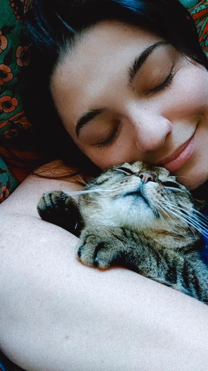 hd_caroline's tweet photo. Morning cuddles with Juju!
#catoftheday #kittycuddle #phdlife #cats https://t.co/WTSdWDHmQf