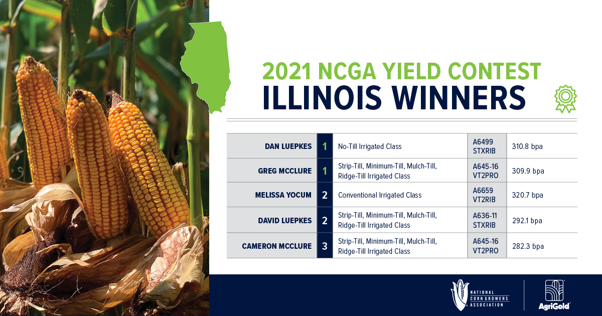 AgriGold's tweet photo. Illinois has shown out again in the @NationalCorn Yield Contest! All 5 of our 2020 state winners have defended their titles in 2021—congrats to Dan &amp; David Luepkes, Greg &amp; Cameron McClure, &amp; Melissa Yocum on your winning yields! 

Check out more results:  https://t.co/w9a6lwQZly https://t.co/3JSP1P9ilr