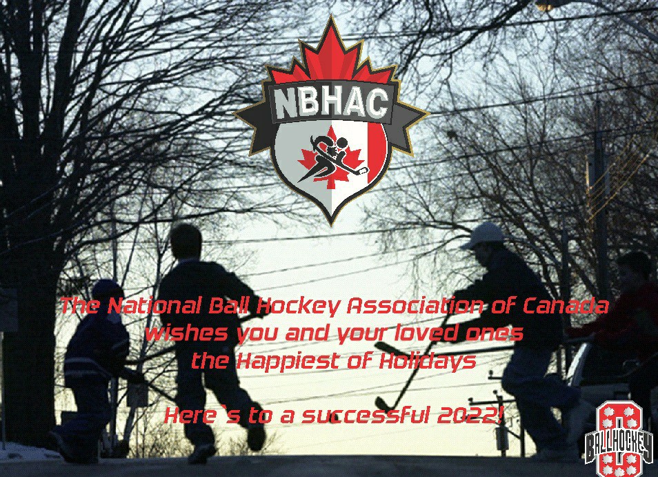 Canada Ball Hockey tweet media