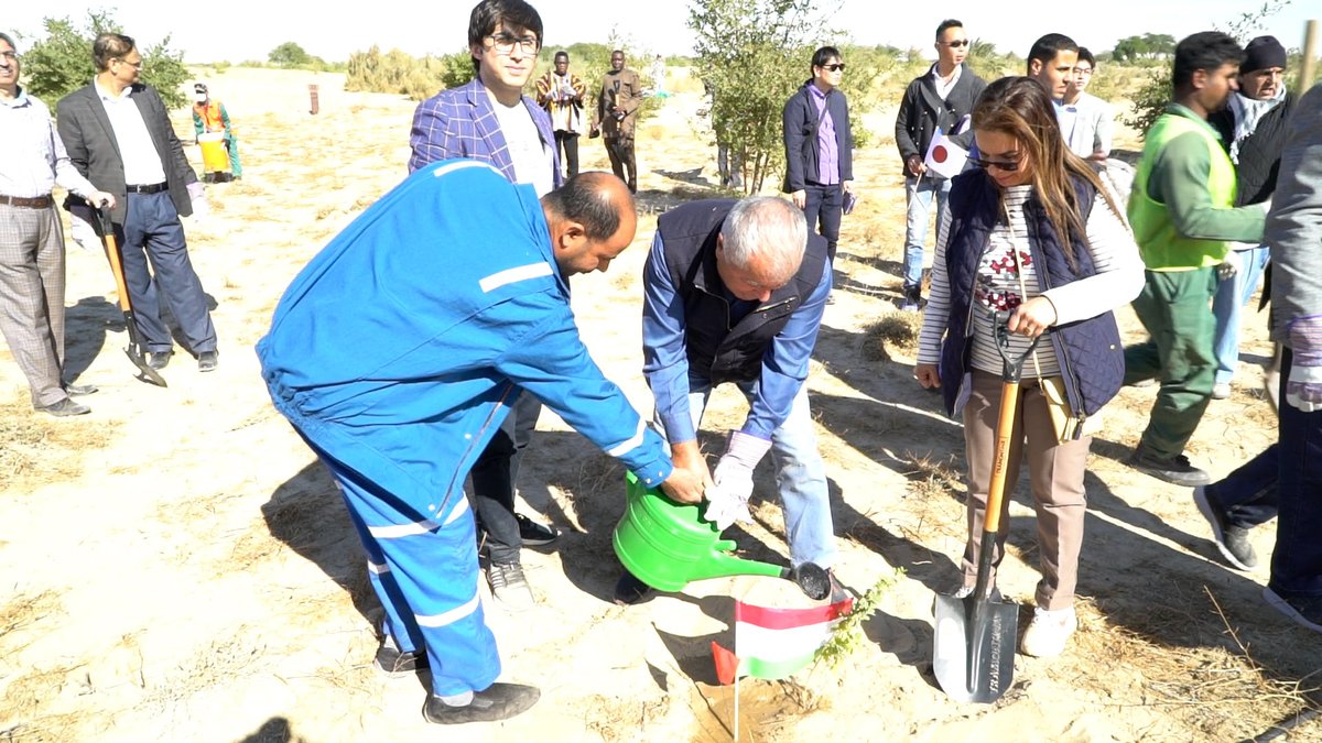 tajembkuwait's tweet photo. On December 4, 2021, in the State of Kuwait, at the initiative of the Dean of the Diplomatic Corps, Ambassador Zubaydullo Zabaydzoda and the Mission UN Habitat GCC Regional Office, with the participation of the heads of diplomatic missions a tree planting campaign "Kuwait Plants" https://t.co/IGj8prD7Zt