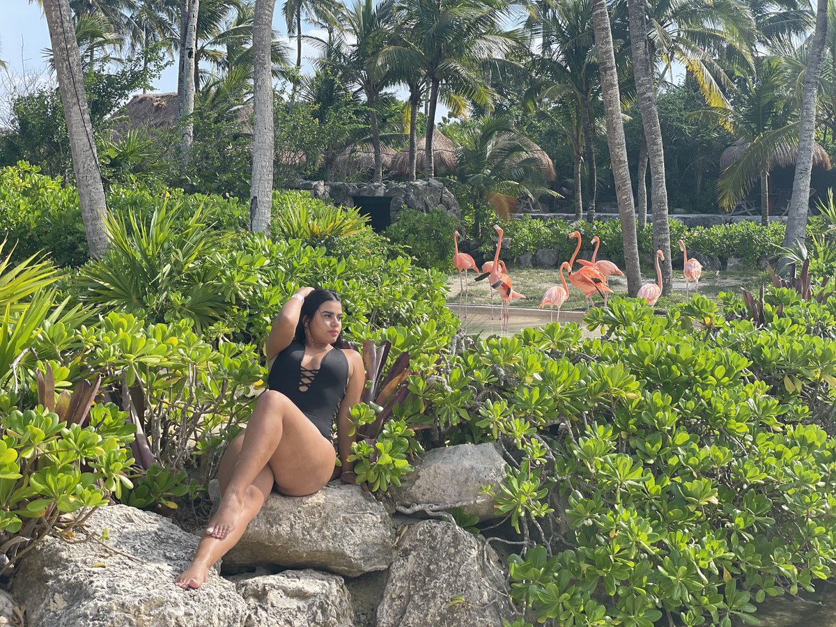 Content from iamsofiaquiroz