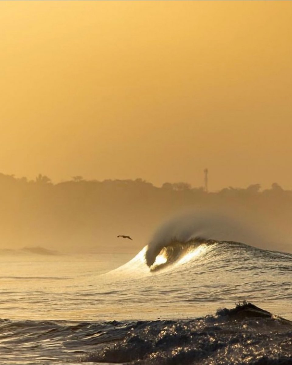 WSLOneOcean's tweet photo. This holiday season, we’re thrilled to be supporting the Surf Conservation Partnership with a meaningful philanthropic gift for their #SurfConservation work in Costa Rica. Learn more at https://t.co/dY6lTmV8GN
.
@SaveTheWaves @ConservationOrg #weareoneocean #costarica #surf https://t.co/81NWKrOAak