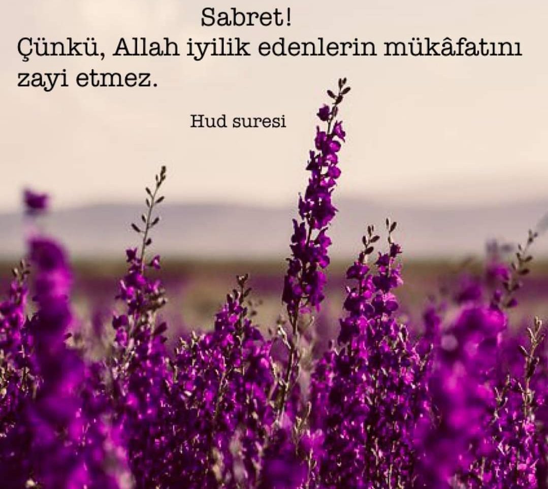 SDilek571's tweet photo. Sabret! Çünkü, Allah iyilik edenlerin mükâfatını zayi etmez.
Hûd süresi
#AyetlerKurtuluştur https://t.co/GVchbf9gQm