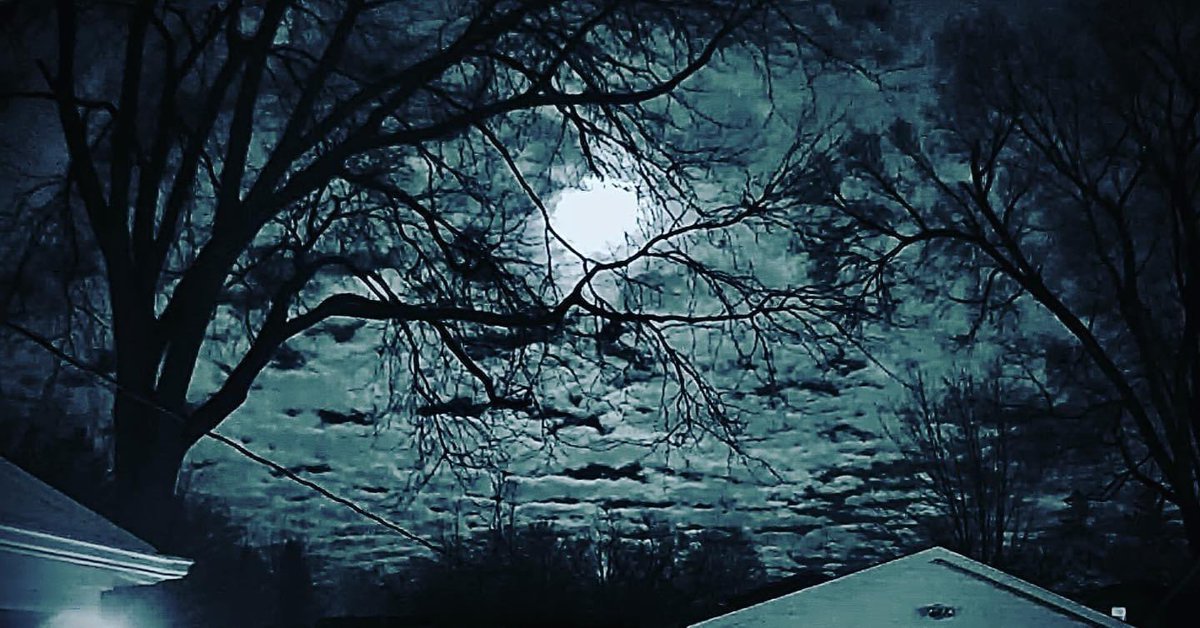 RyanJohnson2112's tweet photo. The moon last night from our backyard looked so ominous! https://t.co/RJs7gvL7BA