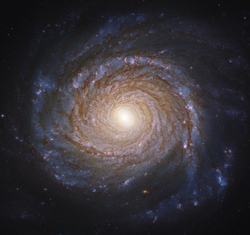 konstructivizm's tweet photo. NGC 3147, a large spiral galaxy in the constellation Draco. It is located about 130 million light-years from Earth, which, given its apparent dimensions, means that it is about 140,000light-years across. Its central supermassive black hole is 250 million times the mass of the Sun https://t.co/mQjBRdTLeF