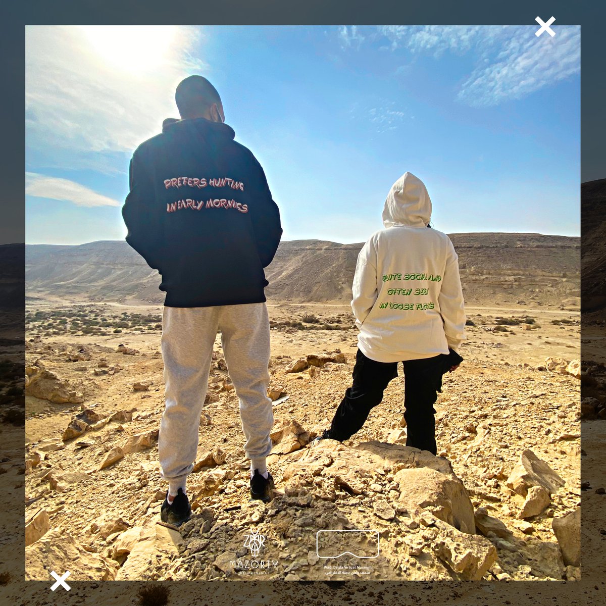 mazourty's tweet photo. Are you going to be a hunting Red Fox 🦊 or a social Sooty Falcon? 🦅 You choose! 🤷‍♀️🤷‍♂️
Live from Wadi Degla Protected Area. 🍃 https://t.co/J7j9Fd3KKM
