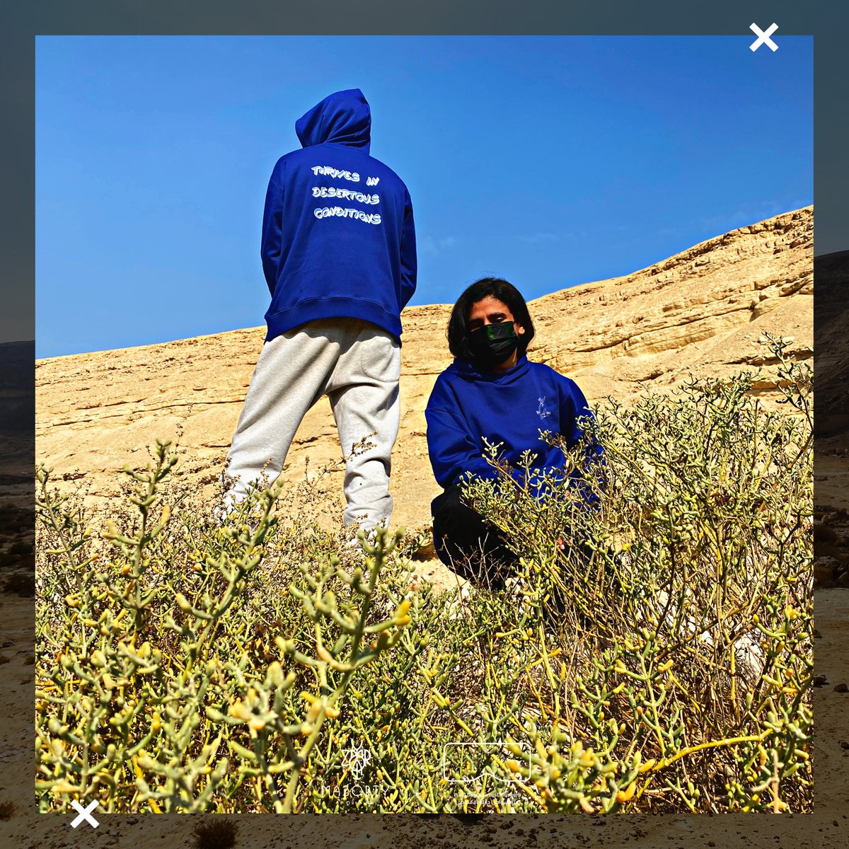 mazourty's tweet photo. What are you? A mammal 🦊, a plant 🌳, or a bird? 🕊️
Let us know in the comments below. 👇 https://t.co/YmfsajKOCe