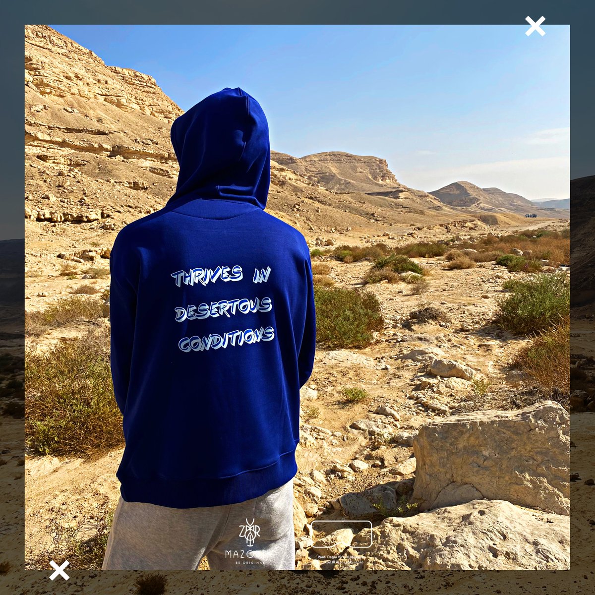 mazourty's tweet photo. What are you? A mammal 🦊, a plant 🌳, or a bird? 🕊️
Let us know in the comments below. 👇 https://t.co/YmfsajKOCe