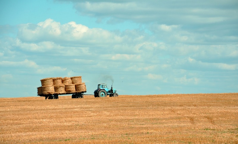 FarmLoanCenter's tweet photo. If you’re looking for VA loans for farms, you may feel overwhelmed by the process. Contact us at (800) 644-9039 and talk to our team of experts.

https://t.co/08TSf1ioa5

#FarmLoanCenter #VAFarmLoans #VALoansforFarms #VALoansforHomes https://t.co/VDX8qeRZSe