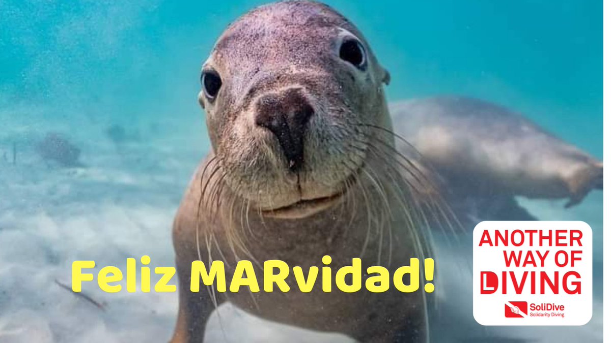 #FelizMARvidad
#FelizNavidad
#HappyChristmas