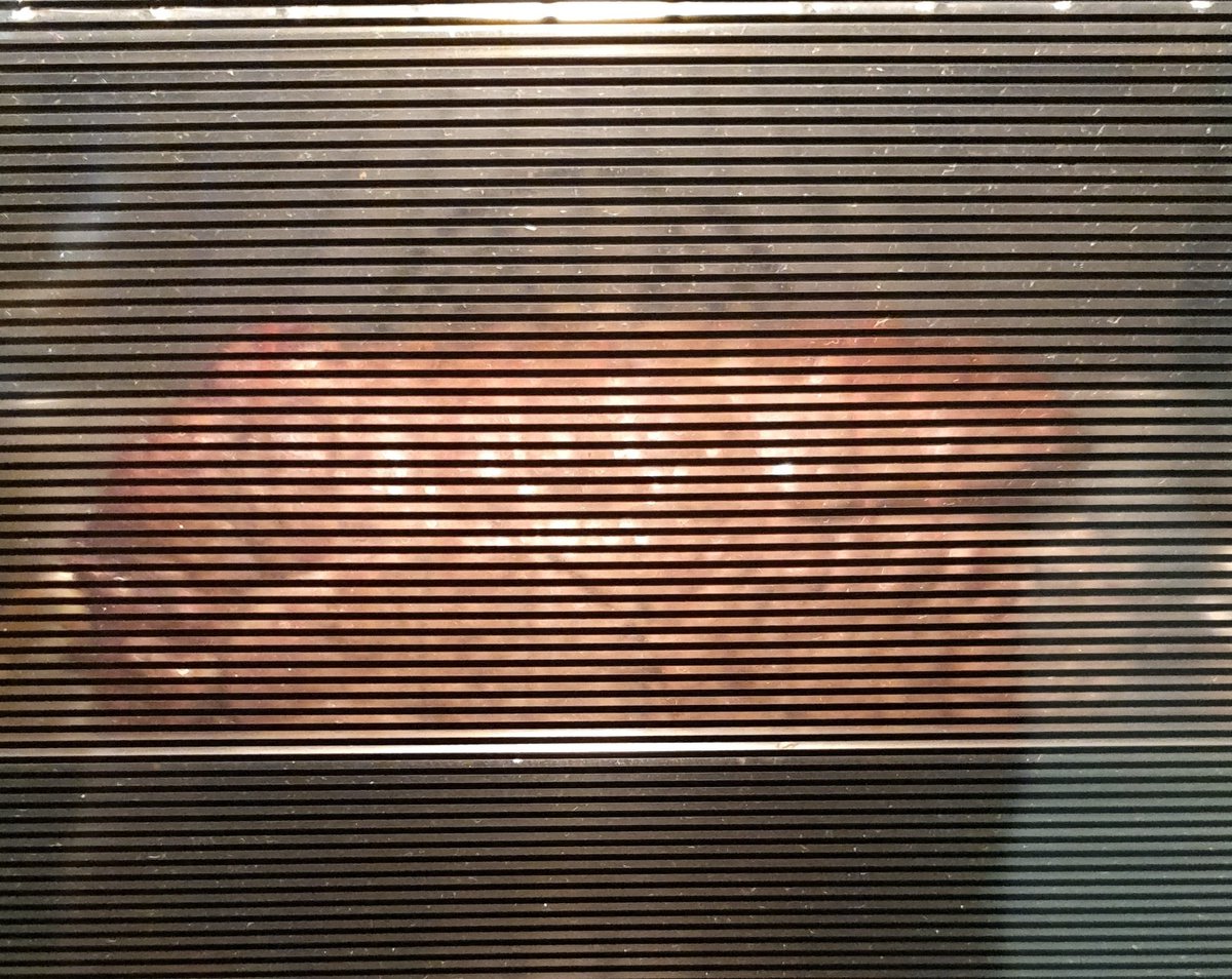 Jack Tavassoly-Marsh 🌍 tweet media